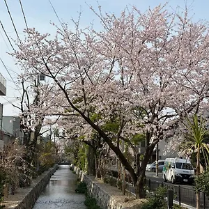 初音 교토